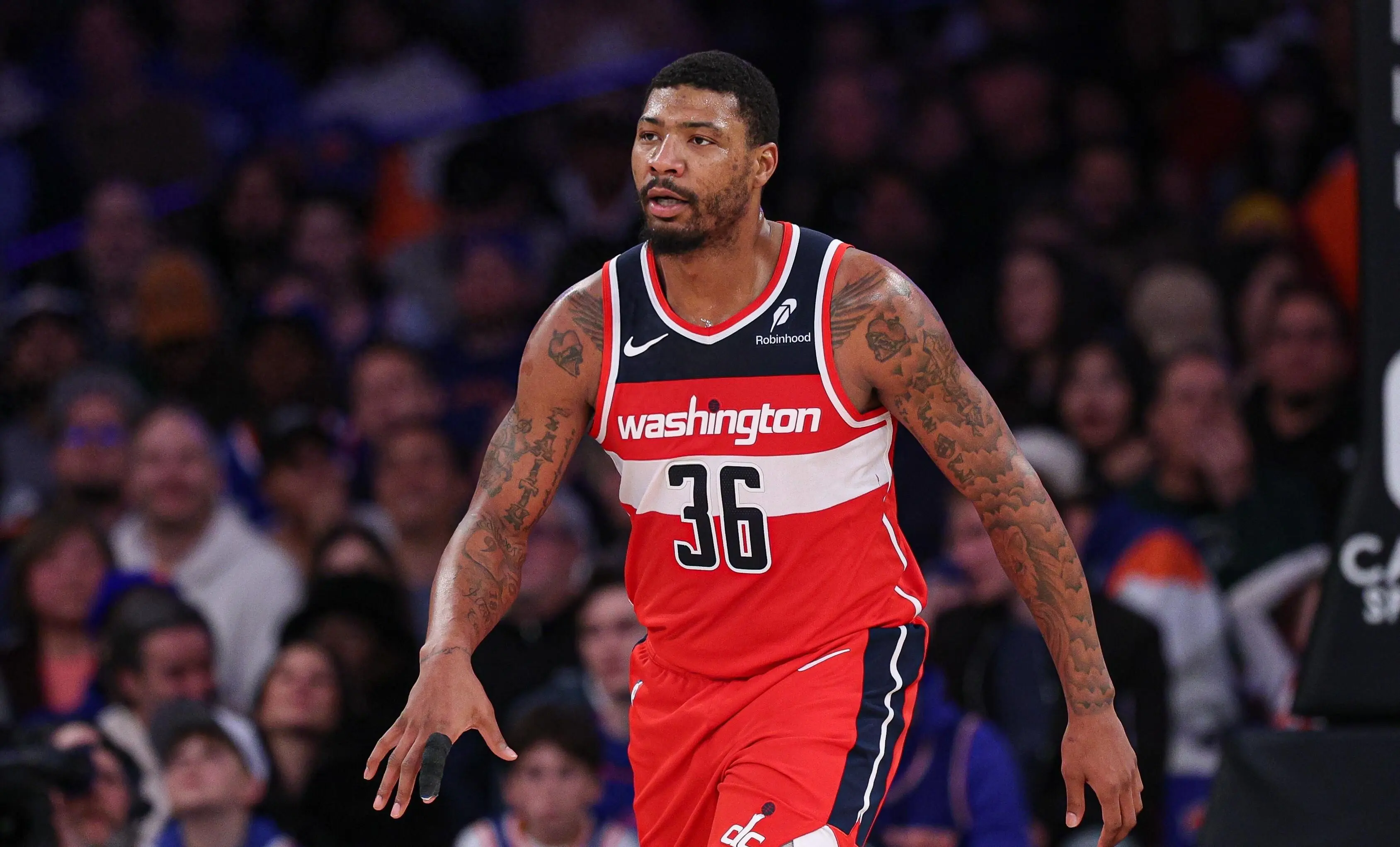 黑贝盛赞斯 黑贝盛赞斯