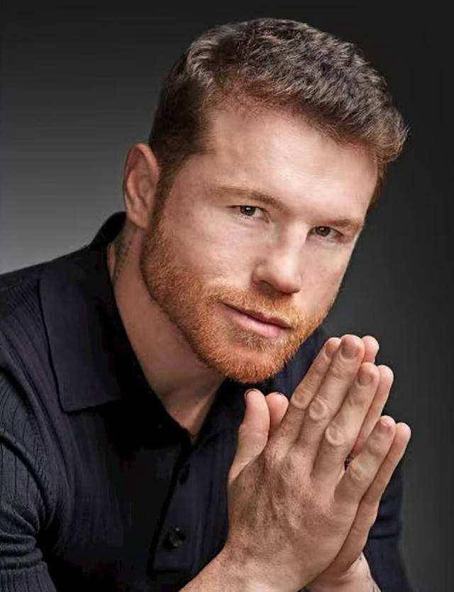 合同中的, 霍亚的分道