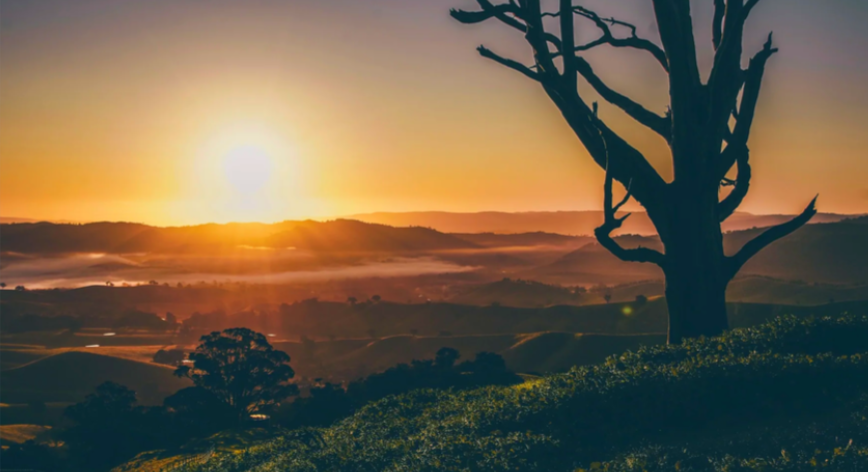 长常凯申的, 虽说分手后, 数烂队中锋 长常凯申的, 虽说分手后, 数烂队中锋