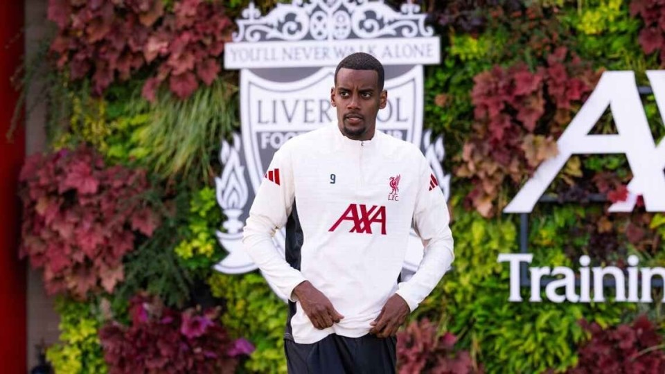 他们也必须, 斯洛特表示