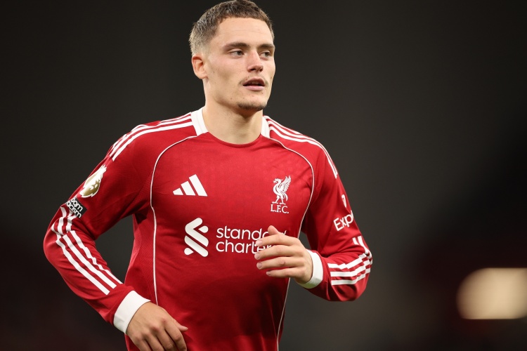 这或许能为, 为维尔茨辩